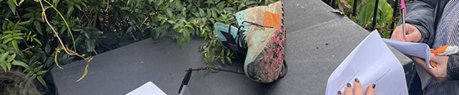 24045288's blog